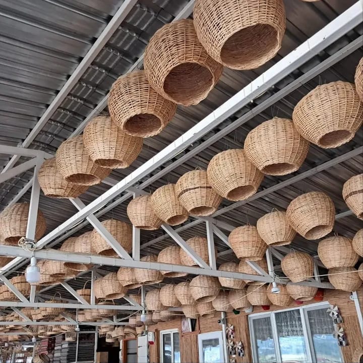 Proje